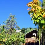 Glamping In Italy Near Adriatic Beaches Lapedona